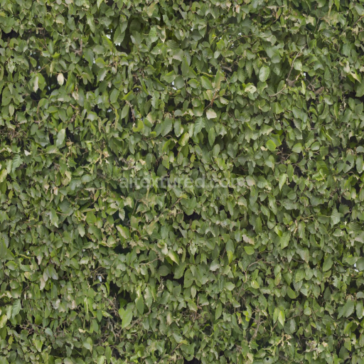 Archviz Foliage Hedge Leaves Organic Substance Designer — Seamless PBR Texture