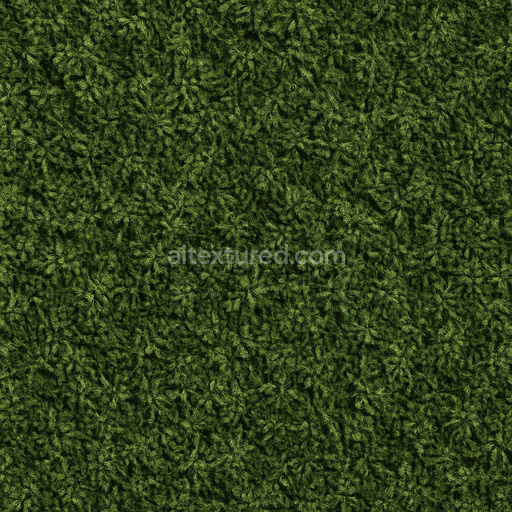 Coarse Dense Foliage Texture Seamless 1024X1024
