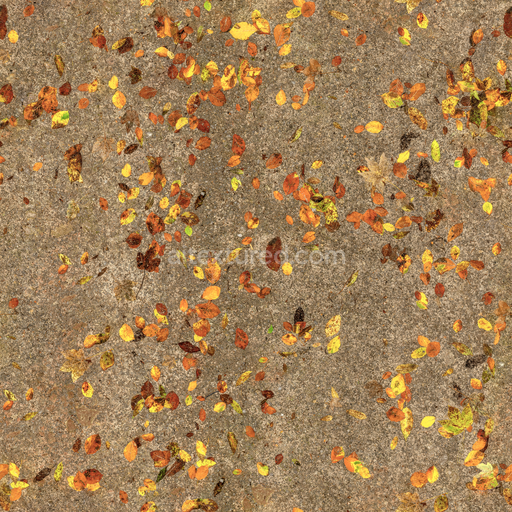 Autumn Forest Dirt — Leaves Autumn Forest Forest Dirt Nature — PBR seamless 3D texture