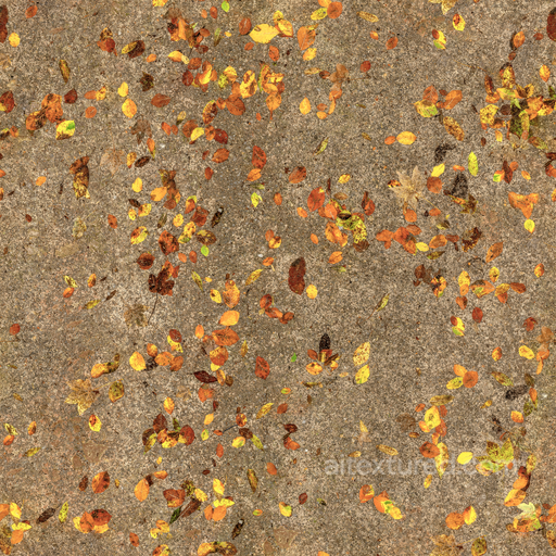 Autumn Forest Dirt - Leaves Autumn Forest Forest Dirt Nature seamless Mud PBR texture