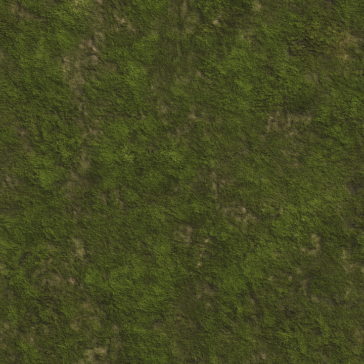 Worn Forest Moss seamless PBR texture preview