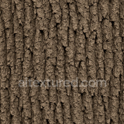 seamless Matte Oak Bark Texture Seamless 1024X1024 texture 1024x1024 free download PBR