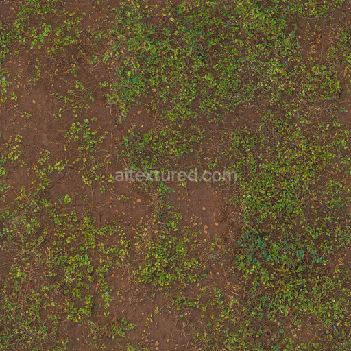 Grass Mud Moss — Mud Moss Stones Moss Stones Orange — PBR seamless 3D texture