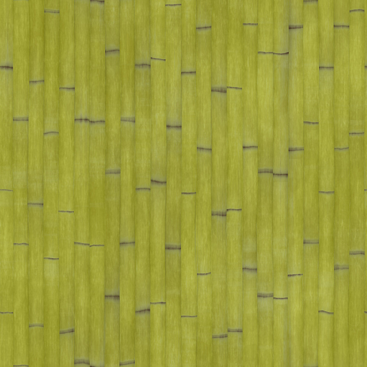 Bamboo 001 A by Textures Wood seamless PBR texture preview