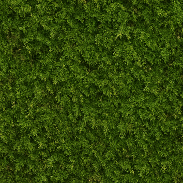Detailed Forest Moss seamless PBR texture preview