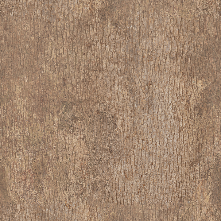 Japanese Camphor Bark - Bark Japanese Japanese Forest Organic seamless PBR texture preview