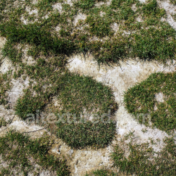 seamless Cracked Dirt Ground Texture with Natural Grass Patches texture 8k free download PBR