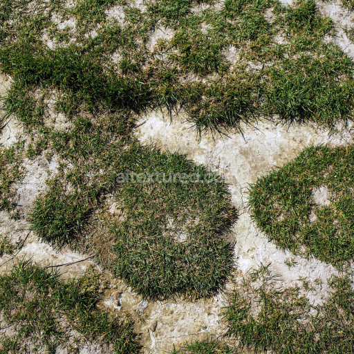 Cracked Dirt Ground Texture with Natural Grass Patches