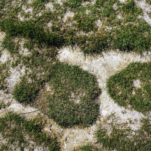 Cracked Dirt Ground Texture with Natural Grass Patches seamless Ground surface PBR texture