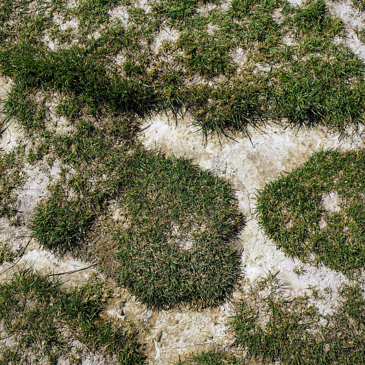Cracked Dirt Ground with Natural Grass Patches seamless PBR texture preview