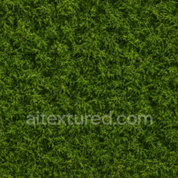 seamless Seamless Forest Moss Texture Seamless 1024X1024 texture 1024x1024 free download PBR