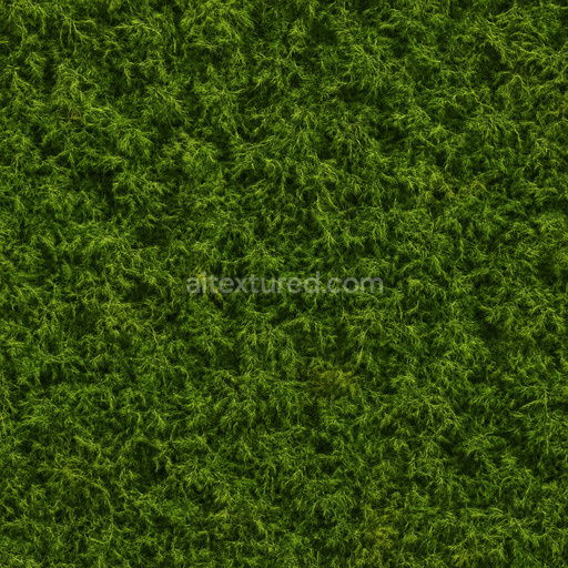 Seamless Forest Moss Texture Seamless 1024X1024