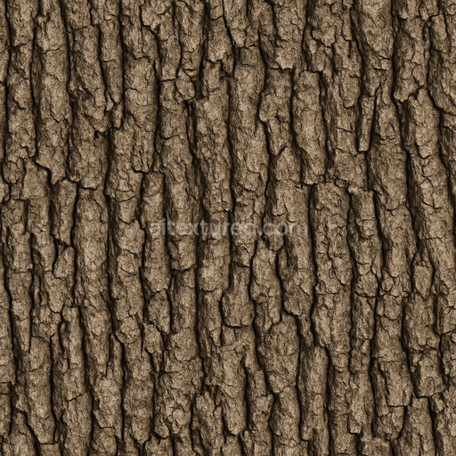 Detailed Oak Bark Texture Seamless 1024X1024