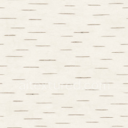 seamless Clean Birch Bark Texture Seamless 1024X1024 texture 1024x1024 free download PBR