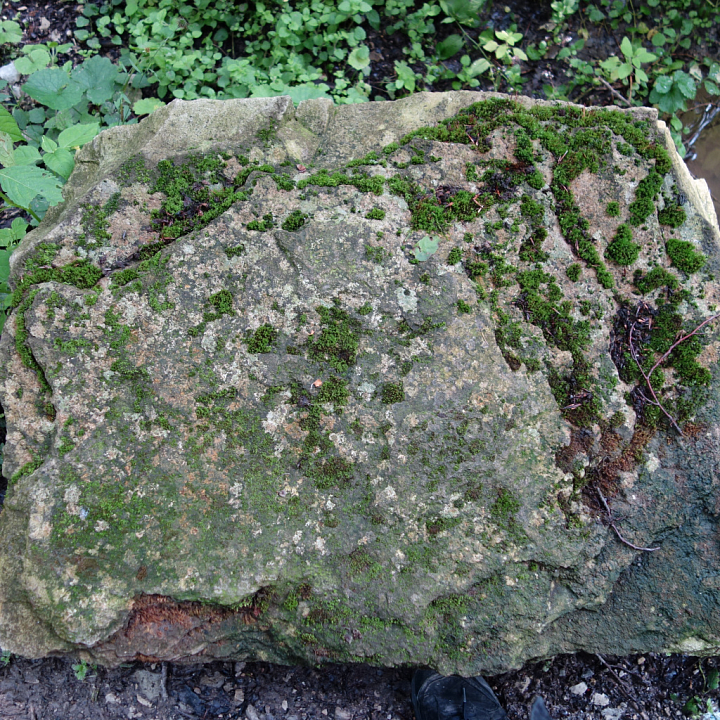 Moss-Covered Weathered Stone Rock Surface seamless PBR texture preview