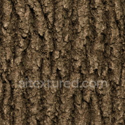 seamless Dirty Oak Bark Texture Seamless 1024X1024 texture 1024x1024 free download PBR