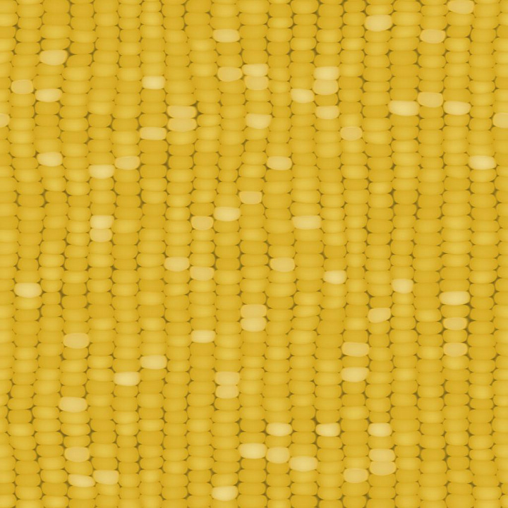 Corn(Maize) seamless PBR texture preview