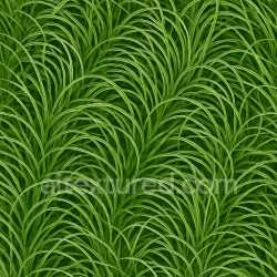 seamless Decorative Grass Seamless Texture texture 8k free download PBR