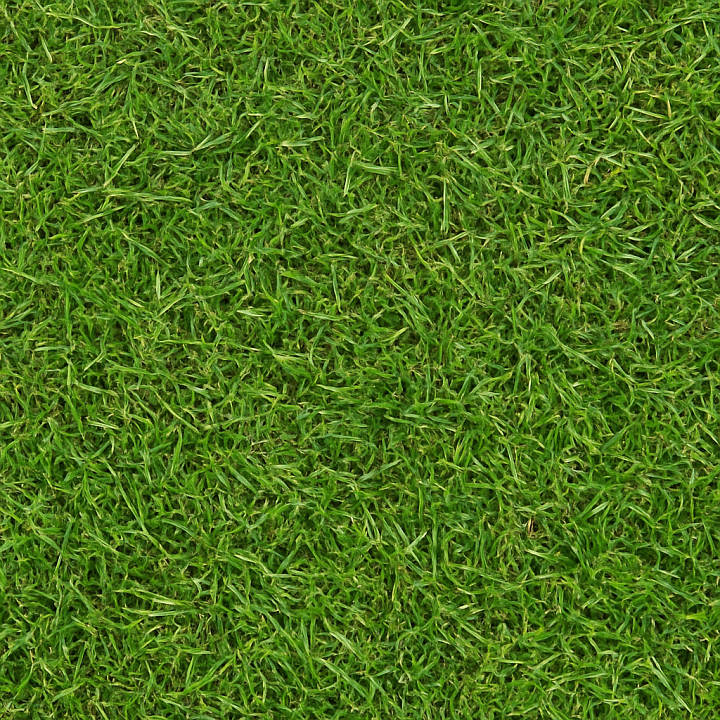 Natural Grass seamless PBR texture preview