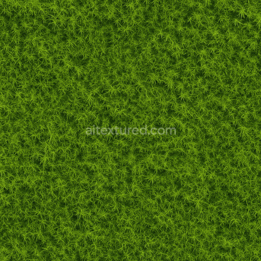 Fine Green Moss Texture Seamless 1024X1024