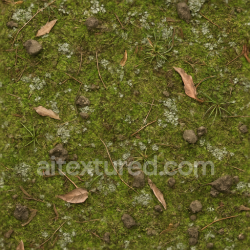 seamless Seamless 3d texture pbr 8k mossy ground surface for natural forest floor scenes texture 8k free download PBR
