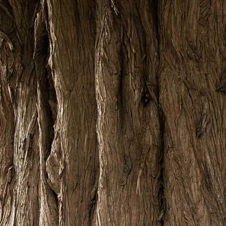 Detailed Tree Bark for Realistic Wood Surfaces seamless PBR texture preview