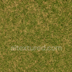 seamless Dry Green Lawn Texture texture 1024x1024 free download PBR