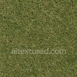 seamless Rough Grass Seamless Texture texture 8k free download PBR