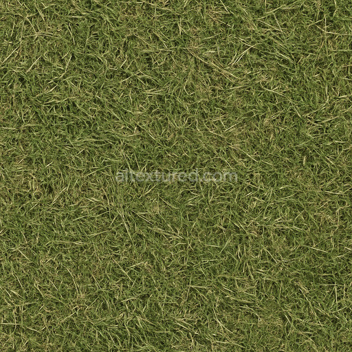 Rough Grass Seamless Texture