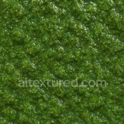 seamless Polished Wet Moss Texture Seamless texture 8k free download PBR