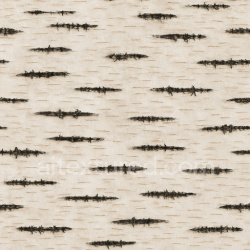 seamless Patterned Birch Texture Seamless 1024X1024 texture 1024x1024 free download PBR