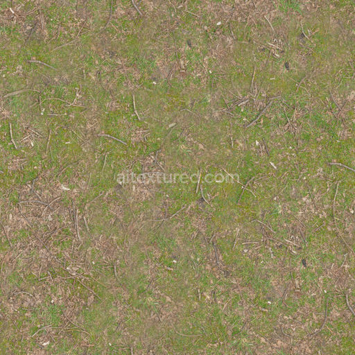 Grass Twigs Forest — Twigs Forest Leaves Forest Leaves Sticks — PBR seamless 3D texture