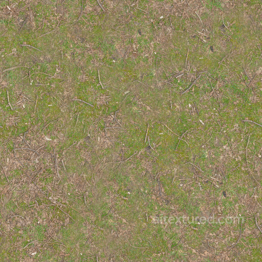Grass Twigs Forest seamless Grass PBR texture