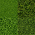 Free textures of Moss download