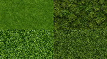 Moss category preview