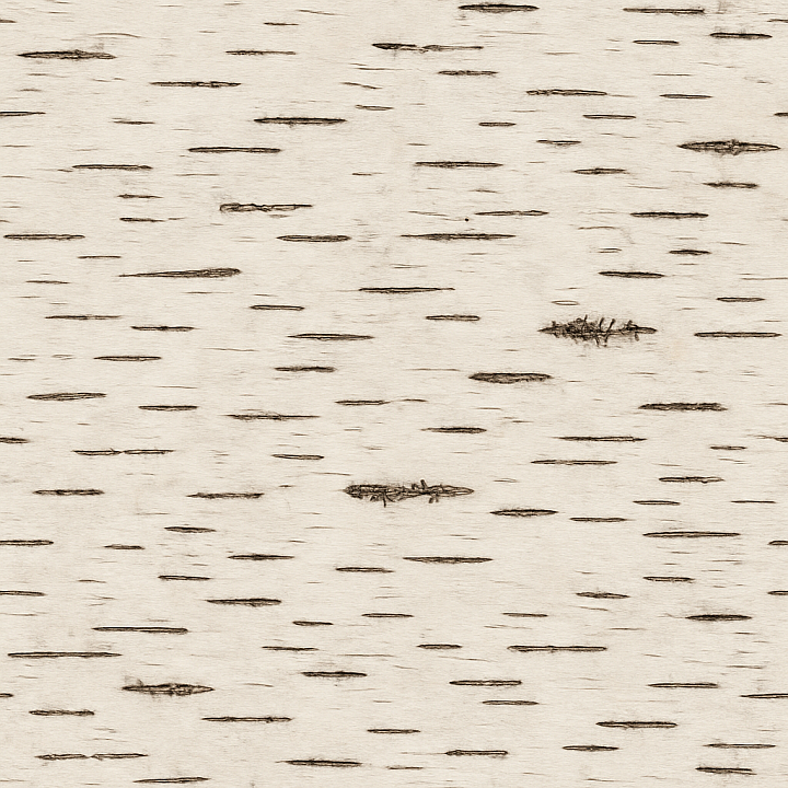 Synthetic Birch Bark seamless PBR texture preview