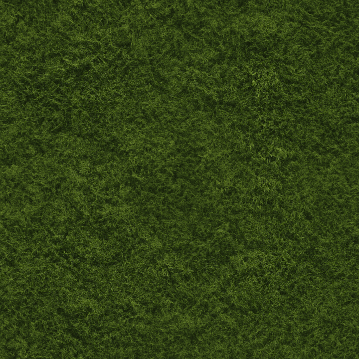Matte Forest Moss seamless PBR texture preview
