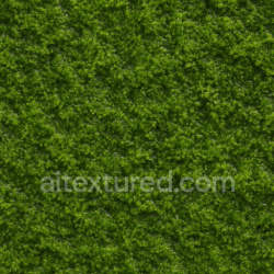 seamless Clean Wet Moss Texture Seamless 1024X1024 texture 1024x1024 free download PBR