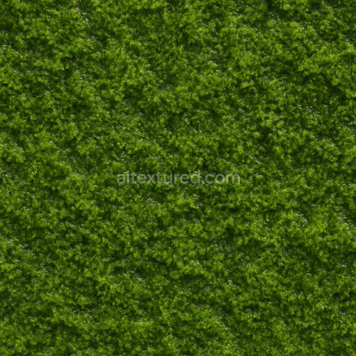 Clean Wet Moss Texture Seamless 1024X1024