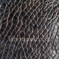 seamless Seamless 3D PBR Texture of Glossy Brown Crocodile Leather with Deep Grain and Wrinkles texture 8k free download PBR