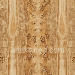 seamless Seamless 3D Light Burr Wood PBR Texture Featuring Distinctive Knots and Grain Pattern texture 8k free download PBR