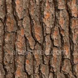 seamless Detailed Pine Bark Texture Seamless texture 8k free download PBR