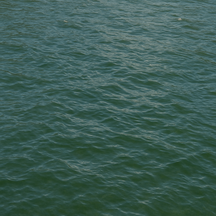 Natural Lake seamless PBR texture preview
