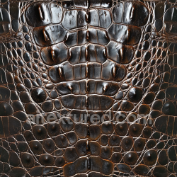 seamless Seamless 3D PBR Dark Brown Crocodile Leather Texture with Glossy Finish texture 8k free download PBR