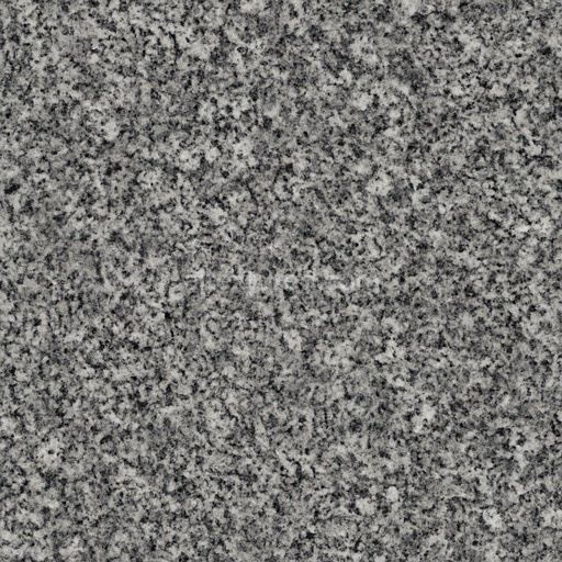 Polished Granite Floor Seamless Texture