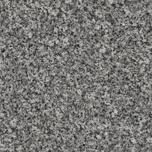 Polished Granite Floor Seamless Texture seamless Granite PBR texture
