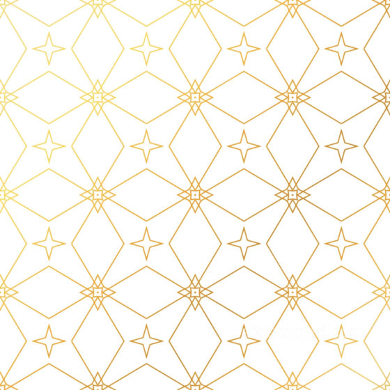 with White Base and Golden Geometric Lines Pattern White & Gold texture preview
