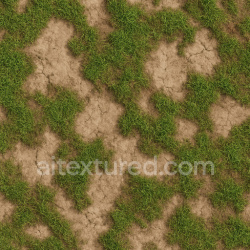 seamless Eroded Grass Seamless Texture texture 1024x1024 free download PBR