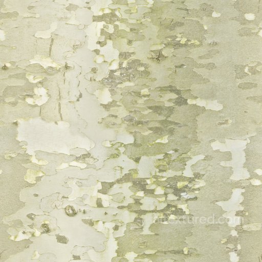 Seamless Bark 009 by Textures - PBR 3D Texture (8K ready) seamless Bark PBR texture