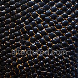 seamless Seamless 3D PBR Texture of Glossy Black Reptilian Scale Skin with Organic Pattern texture 8k free download PBR